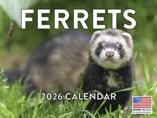 Ferret Calendar 2026 Monthly Wall Calender 12 Month | American Made In The USA