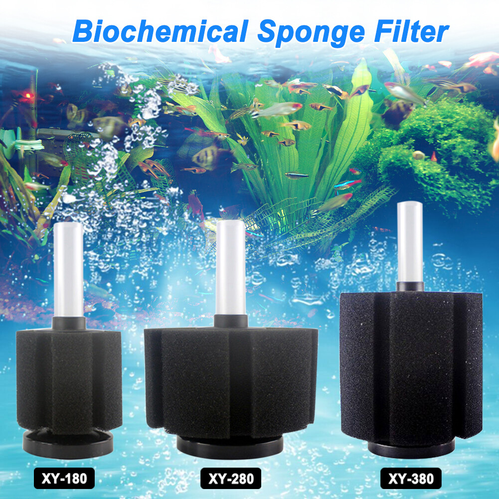 sponge filter for betta