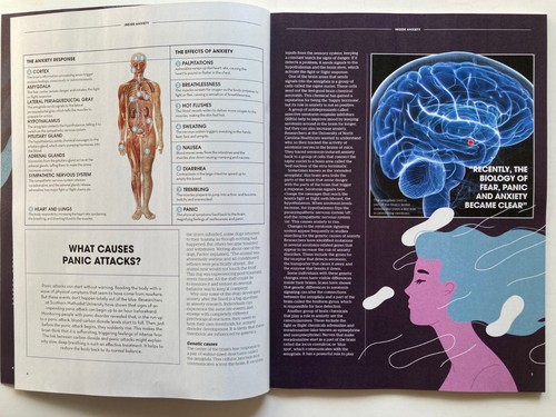 THE 2024 ANTI-ANXIETY HANDBOOK Magazine REDISCOVER YOUR PEACE OF MIND / NEW - Picture 3 of 7