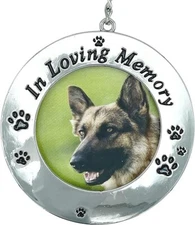 Pet Memorial Photo Frame Ornament in Loving Memory Pets Remembrance