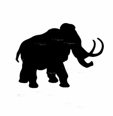 Mammut Dinosaurier Vinyl Aufkleber Sticker für Zuhause, Wand, Deko, Café, Kinderzimmer