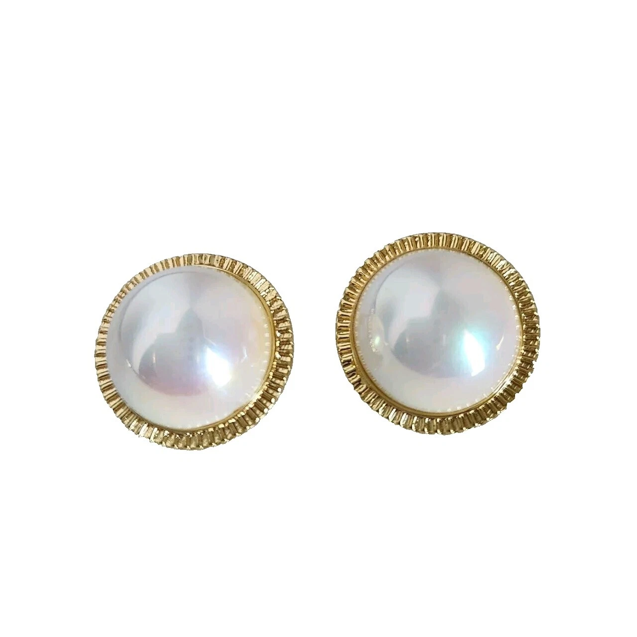 Shell Stud Fashion Earrings