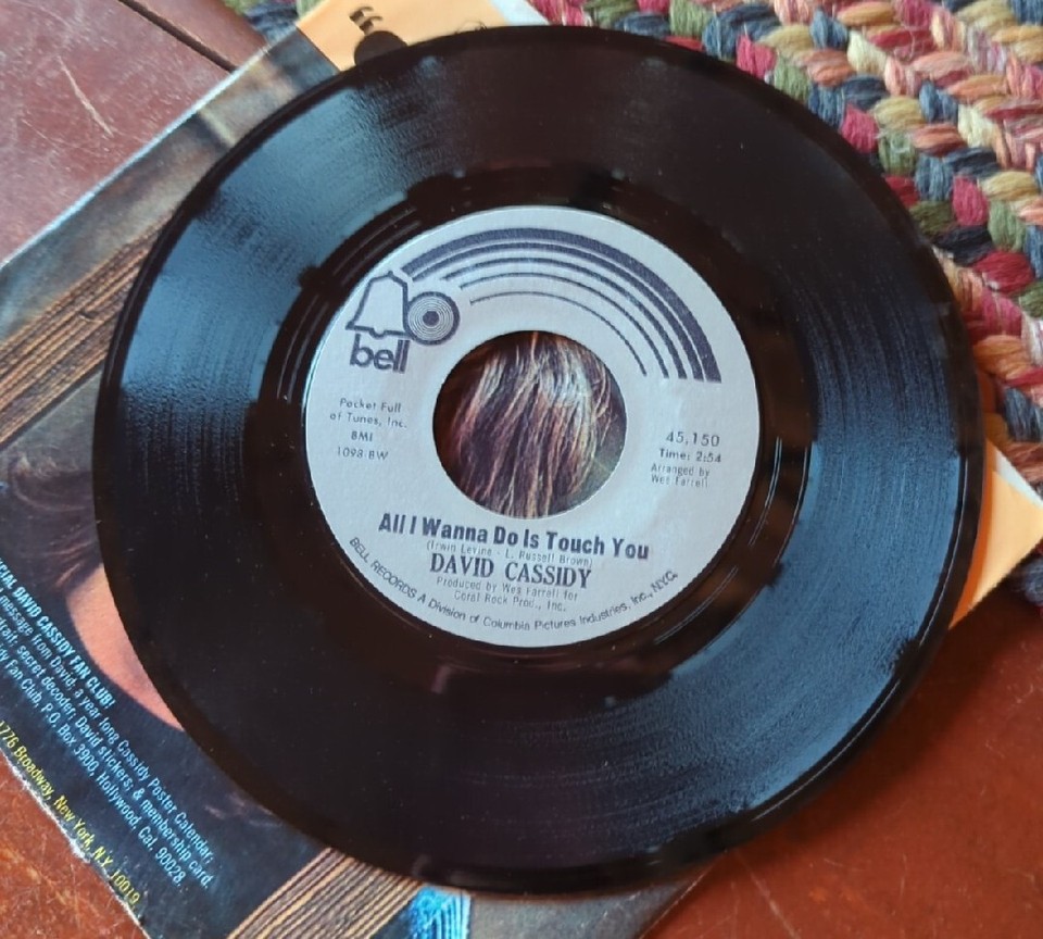 David Cassidy 7" Record 45 RPM "Cherish" "All Wanna Do Is Touch You