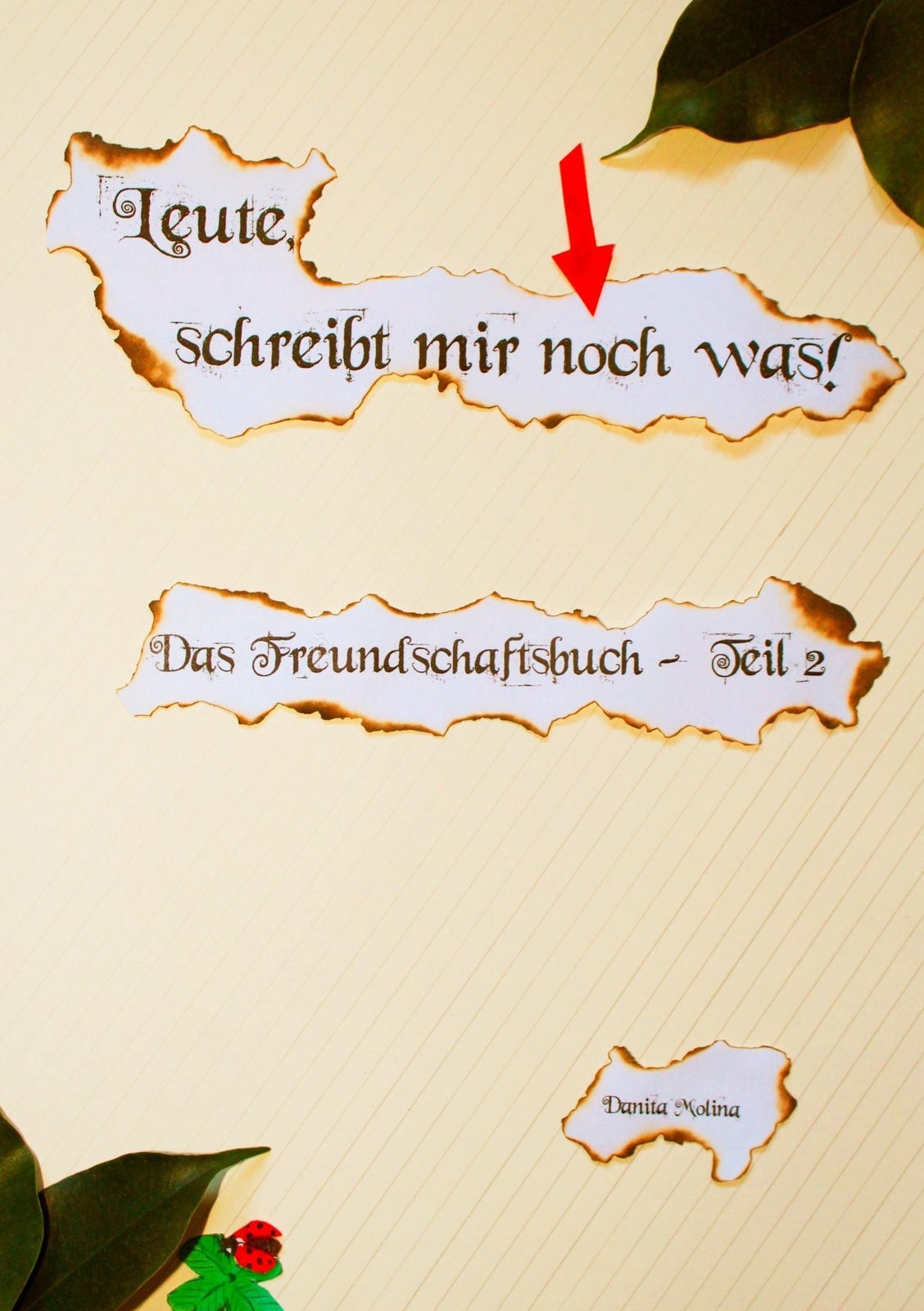 Thumbnail - Leute, Schreibt Mir Noch Was | Danita Molina | Taschenbuch | Paperback