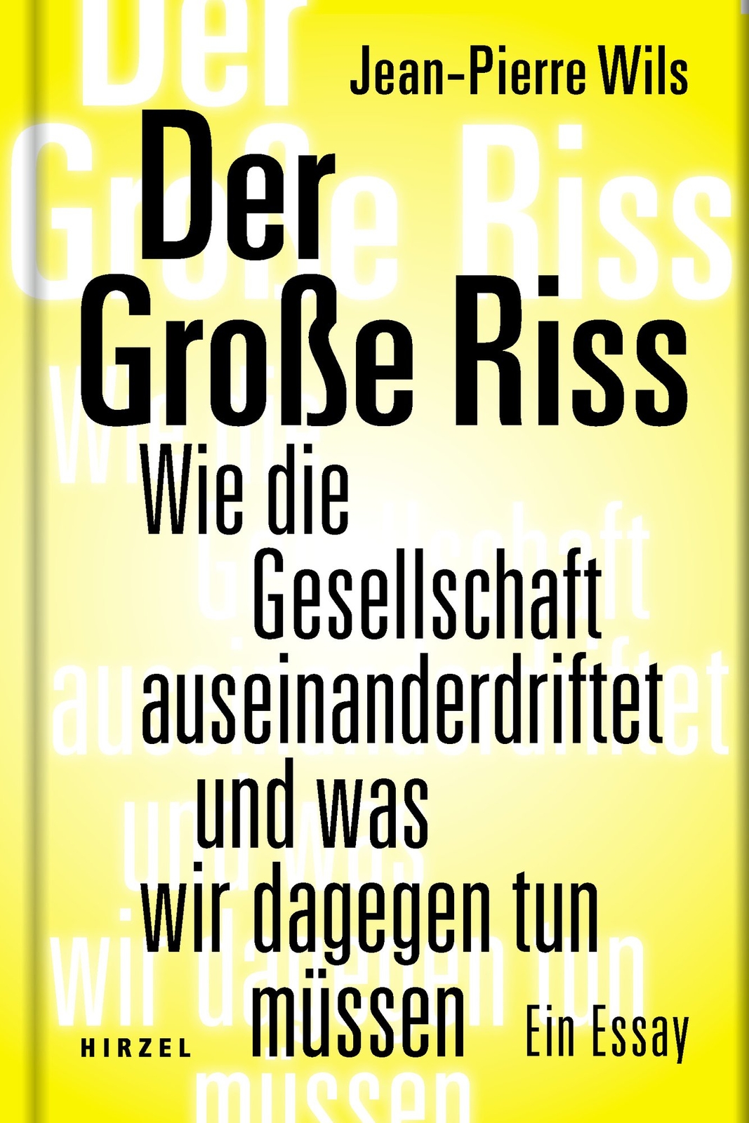 Thumbnail - Jean-pierre Wils / Der Große Riss