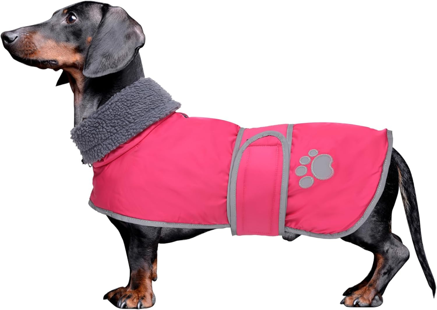 -Invernale Cappotto per Cane Bassotti, Con Fodera in Pile Polare,Impermeabile Ab