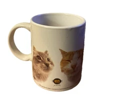 Cat Lovers Mug—Hana Deka Club 2008, Yoneo Morito, Sherwood ,Kittens, Kawaii, EUC