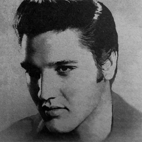 Elvis Presley Carpet Car SUV Truck Floor Mats 4 Pieces Custom Print