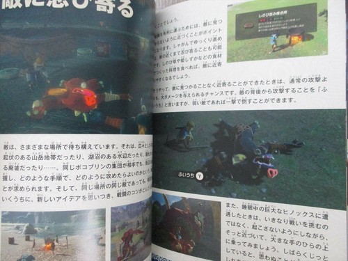LEGEND OF ZELDA Breath of the Wild Bouken Guide Art Fan Book Nintendo Switch Ltd - Afbeelding 8 van 10