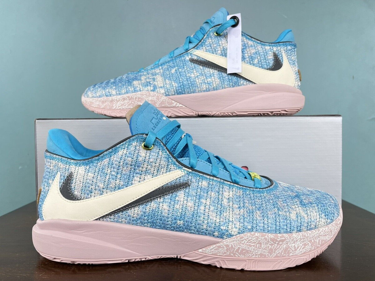 Nike LeBron 20 XX Nike LeBron 20 XX