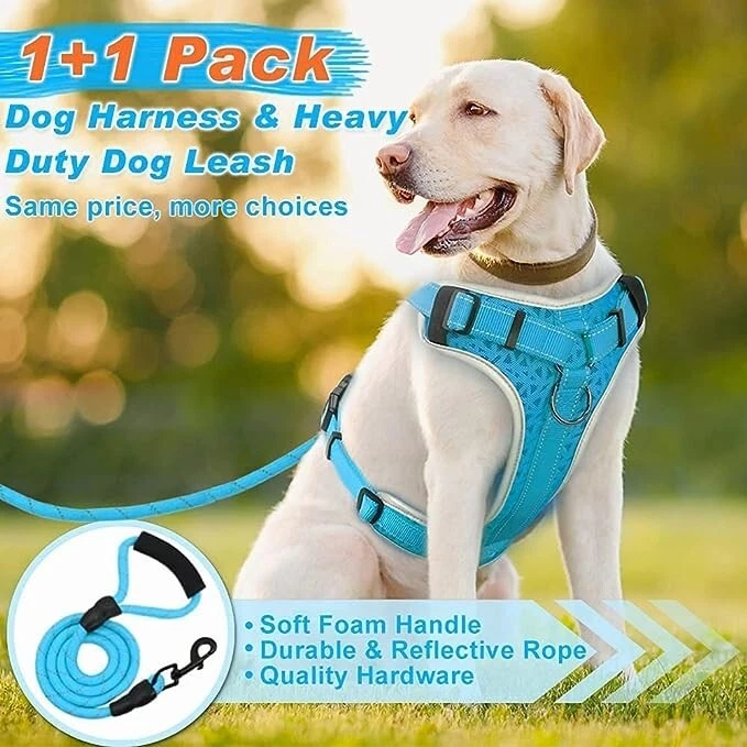 Chest leash hotsell