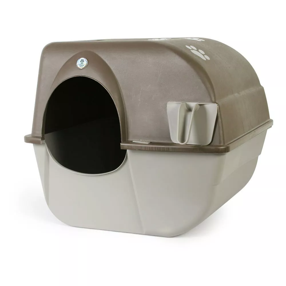 Upright litter shop box