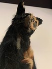 Bild 6 von 8