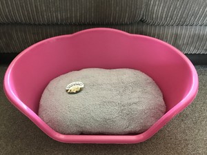 pink plastic dog bed