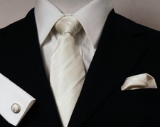 Venchinni Silk Tie Set Design Germany D12