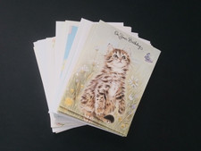 Lot 13 New Cute Happy Birthday Small Greeting Cards Kittens Bears Dolphins
