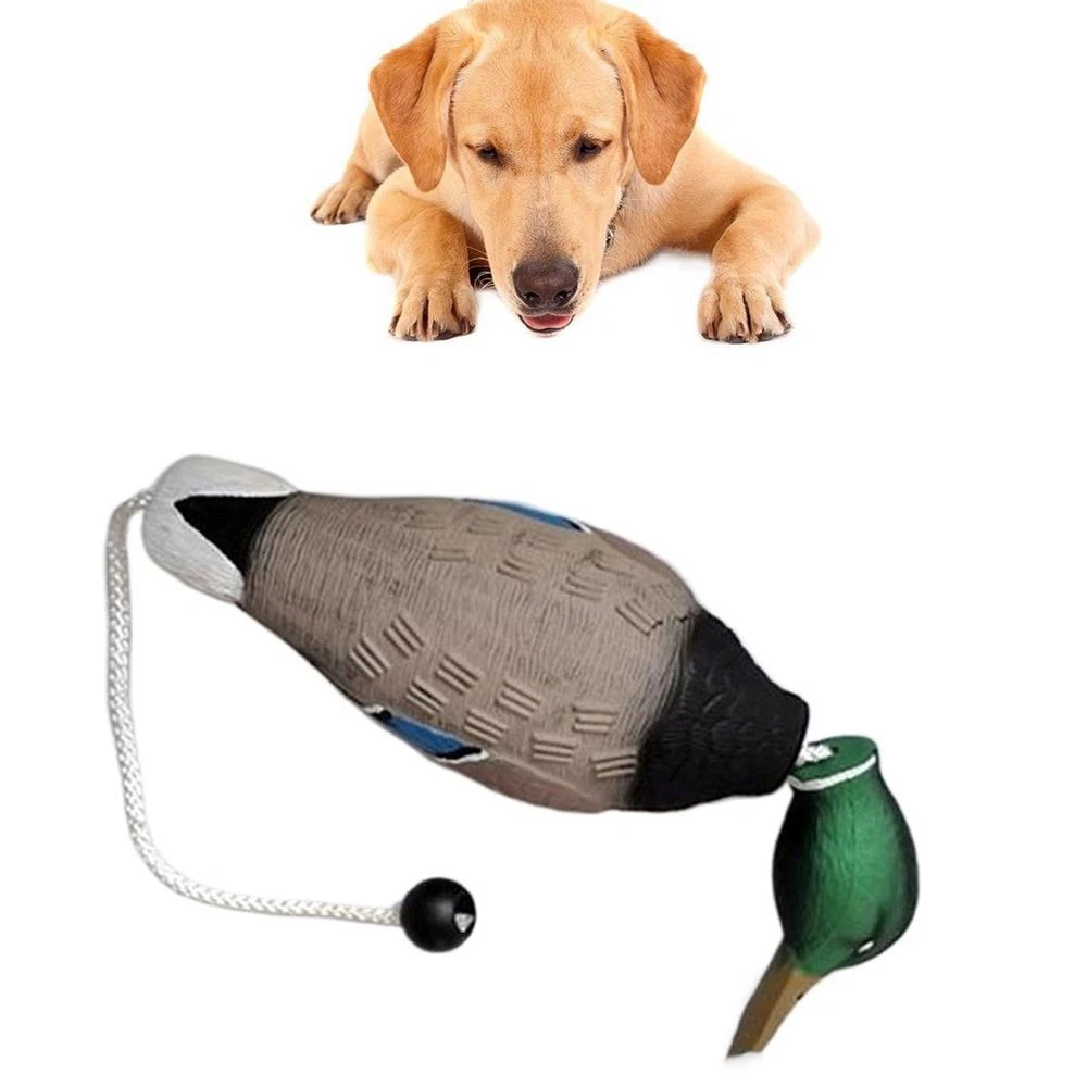 Bird dog training toys 2025