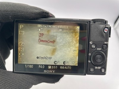 Sony Cyber-shot RX100 V 20.1MP Digital Camera - Black (Basic Kit