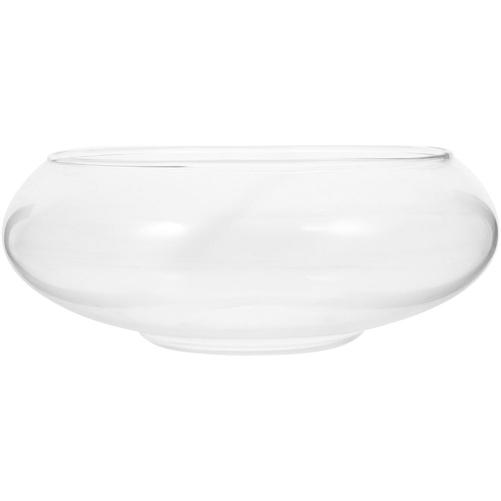 Glass Hydroponic Lotus Bowl Planter for Small Decorative Plants