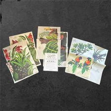 Tatouage Tropical Botanical Bird Rub On Transfer Designs Set Multicolor NEW