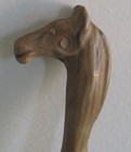 Bild 6 von 8