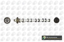 Bga Exhaust Side Camshaft For Ford Mazda 3 Fiesta Focus Focus C-max Fusion