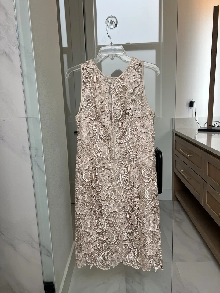 Adrianna Papell Women’s Lace Sheath Dress Size 12 Beige Nude Floral Sleeveless - Image 2 of 4