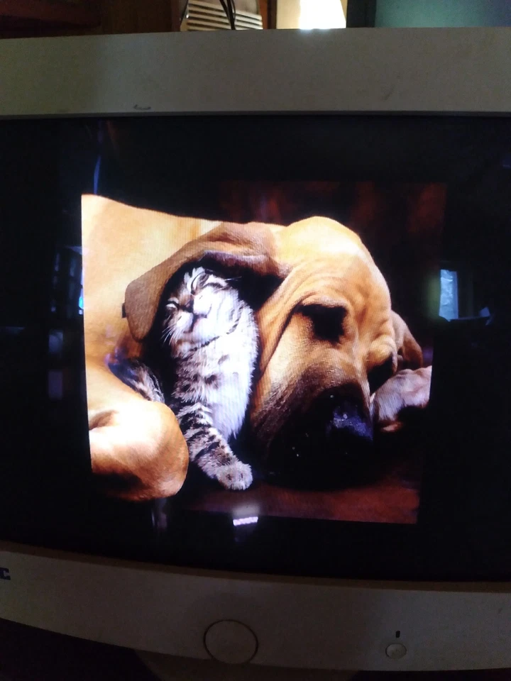 AOC 9Glrs 17.4" Vintage CRT Computer Monitor made 02/13/2001 TESTED WORKS! - Image 3 of 4