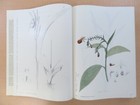 Foto 8 di 10