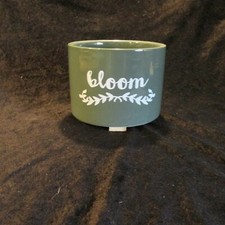 Bloom Ceramic Green Indoor Planter