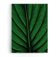 A Leaf Framed Canvas Stretched Ready to Hang 50x40 Home decor Gift.