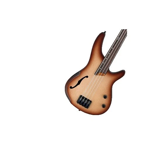 Ibanez 4 String Fretless Bass Guitars