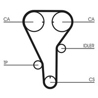 NEU - Continental Ctam CT787 Zahnriemen FüR Ford USA Mazda