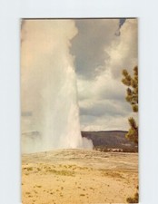 Postcard Old Faithful Geyser Yellowstone National Park Wyoming USA