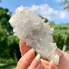 71G Clear Natural Beautiful White Chrysanthemum QUARTZ Crystal Cluster Specimen