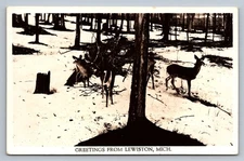 Postcard RPPC Michigan Lewiston Greetings Deer Snowy Scene 1956 O411