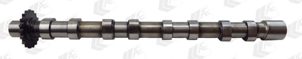 Intake Side AE CAM976 Camshaft for CITROËN,FIAT,JAGUAR,LANCIA,LAND ROVER,MITSUBI