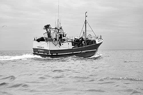 TAMRON Single Focus Lens SP85mm F1.8 Di VC for Canon Full size compatible F016E - Image 3 of 4