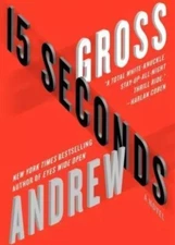 15 Seconds by Andrew Gross (2012, Hardcover)
