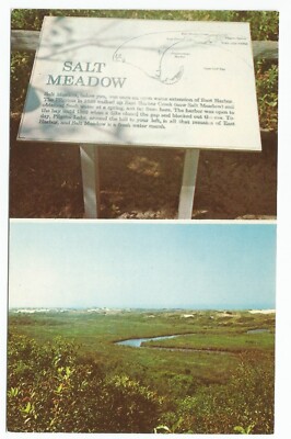 Salt Meadow, Eastham, Cape Cod, Massachusetts Postcard