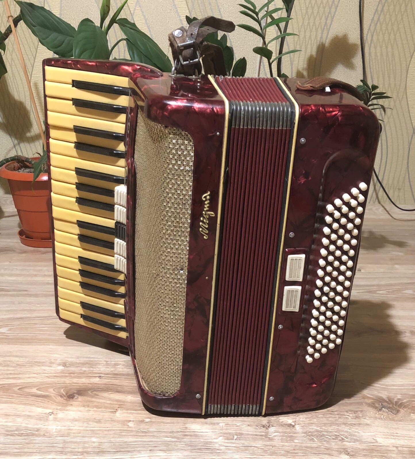 Vintage German Accordeon Migma 80 Bass 7 Register Vintage German Accordeon Migma 80 Bass 7 Register