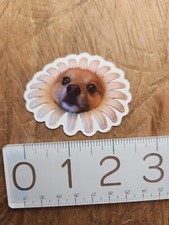 DOG Sticker Funny Sticker Funny Decal Meme Sticker Meme Decal Joke Comedy