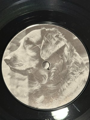 RARE Beastie Boys Polly Wog Stew 7