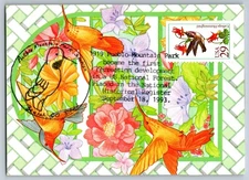 #2646 Calliope Hummingbird Maxi Card