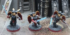 Space Marines  Blood Angels 3x Sanguinary Guard - Well Painted #4670