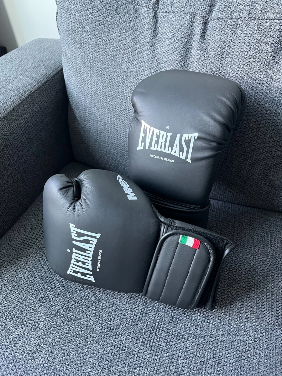 Everlast 14 oz. Weight Boxing Gloves for sale | eBay