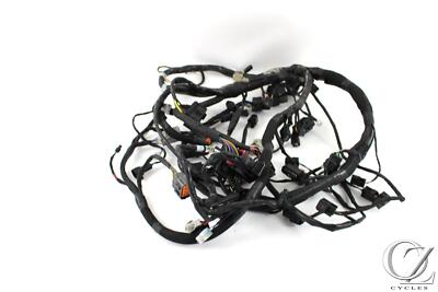 2025 25 Triumph Daytona 660 Main Wire Harness Loom