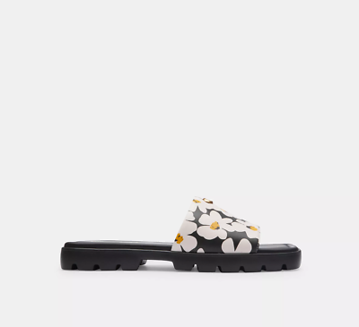 Coach Florence Sandal With Floral Print Chalk Multi - Size 6.5B | eBay