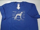 Saluki Dog Obsession, Any Questions? T-shirt Size Large Navy with silver Sale
