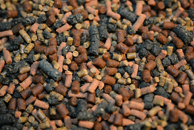 ABF CATFISH INSECT & KELP MIX,Garlic,Spirulina,Cichlid,Pleco,HEAT SEALED,ABF300
